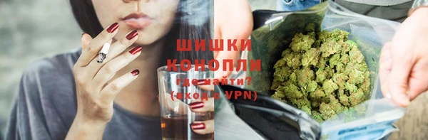 спиды Бородино