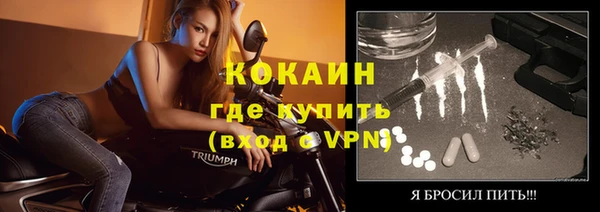 спиды Бородино